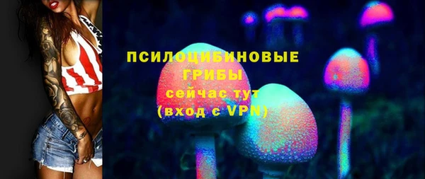 мдпв Липки