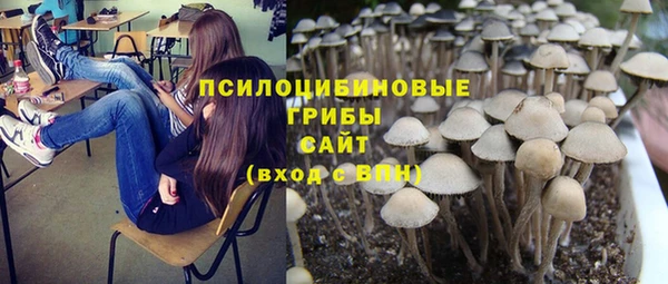 прущая мука Лиски
