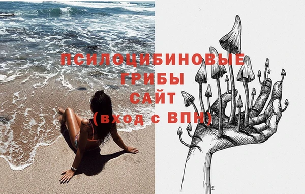 мдпв Липки