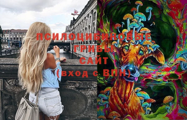 тгк Лихославль