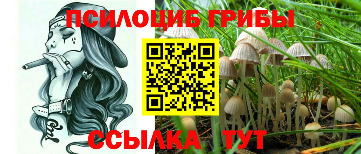 Ханты-Мансийск  Галлюциногенные грибы GOLDEN TEACHER  Вход с VPN 